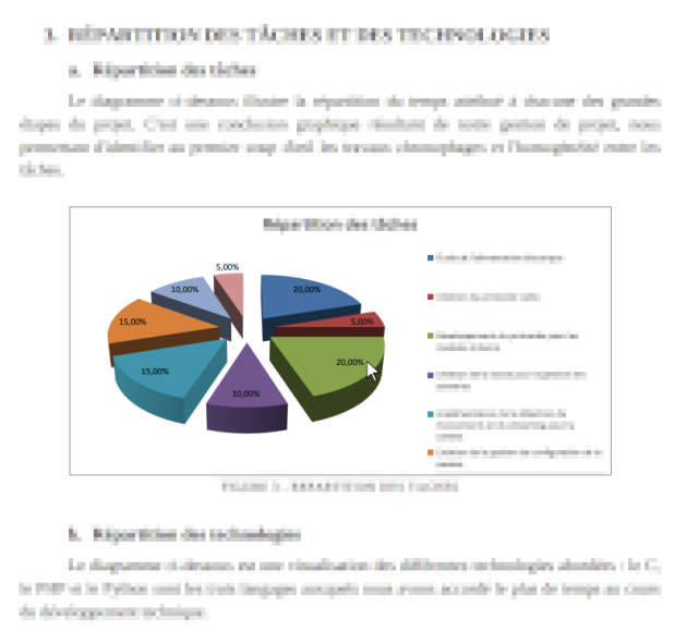 Exemple de rapport de projet LT